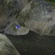 Image for article titled More On Shiki-Tei, The PS3 Gardening "Game"